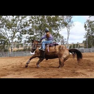 Meet your Posher, Keeley